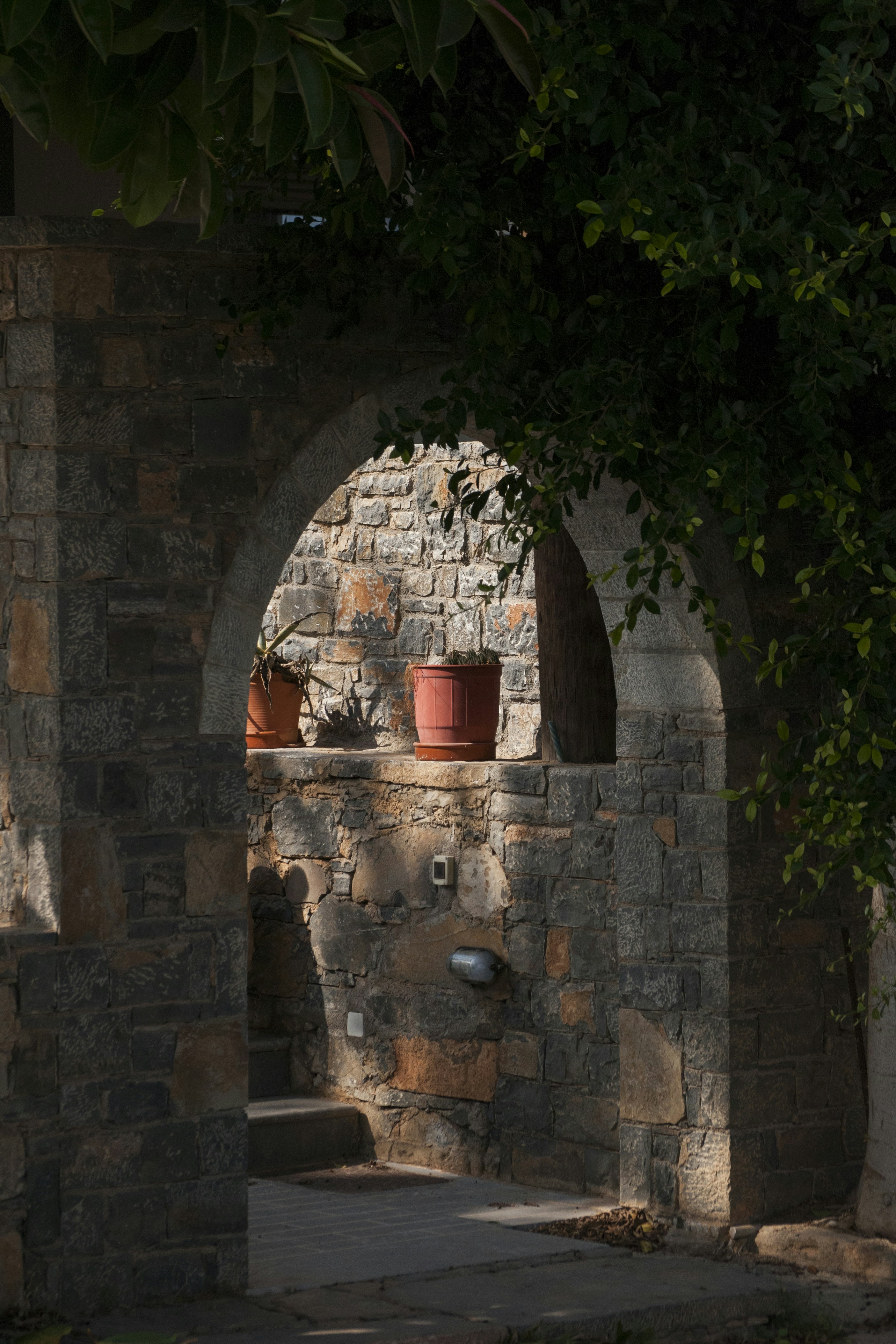 Photo by yuli_superson