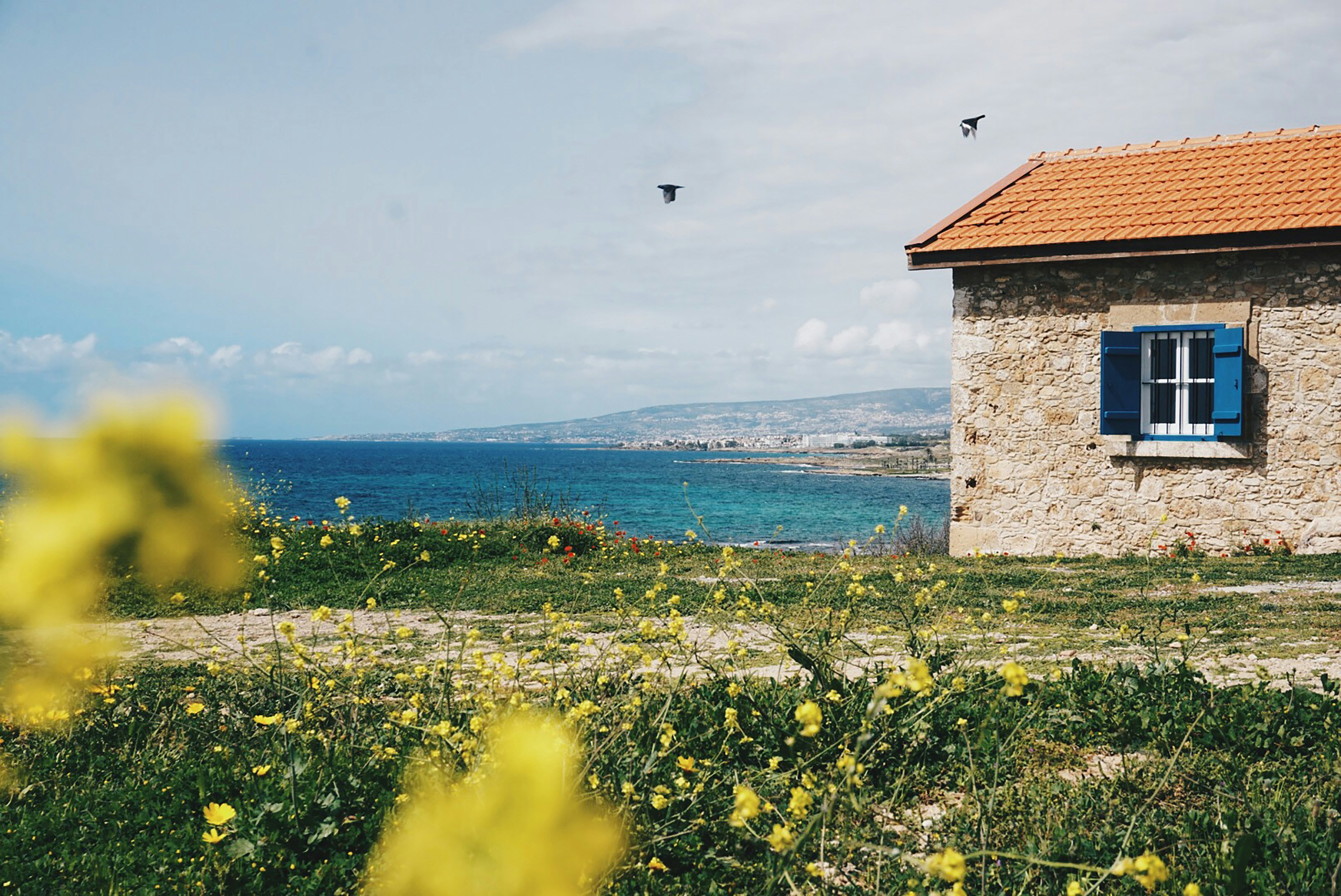 house with ocean background