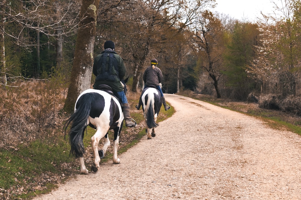 duas pessoas andando a cavalo por uma estrada de terra