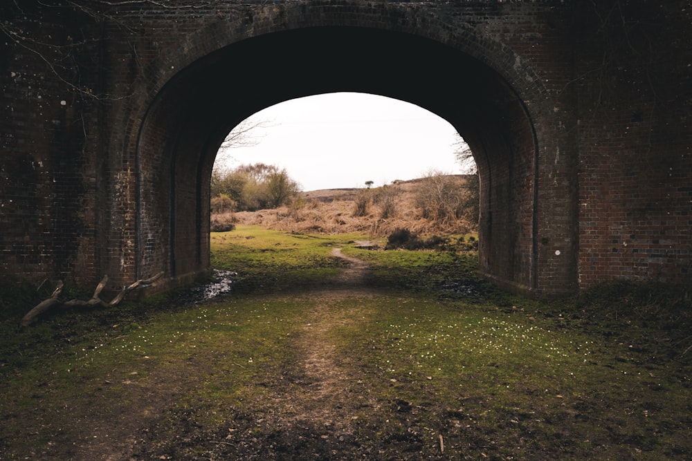 arch pathway leading to grass field