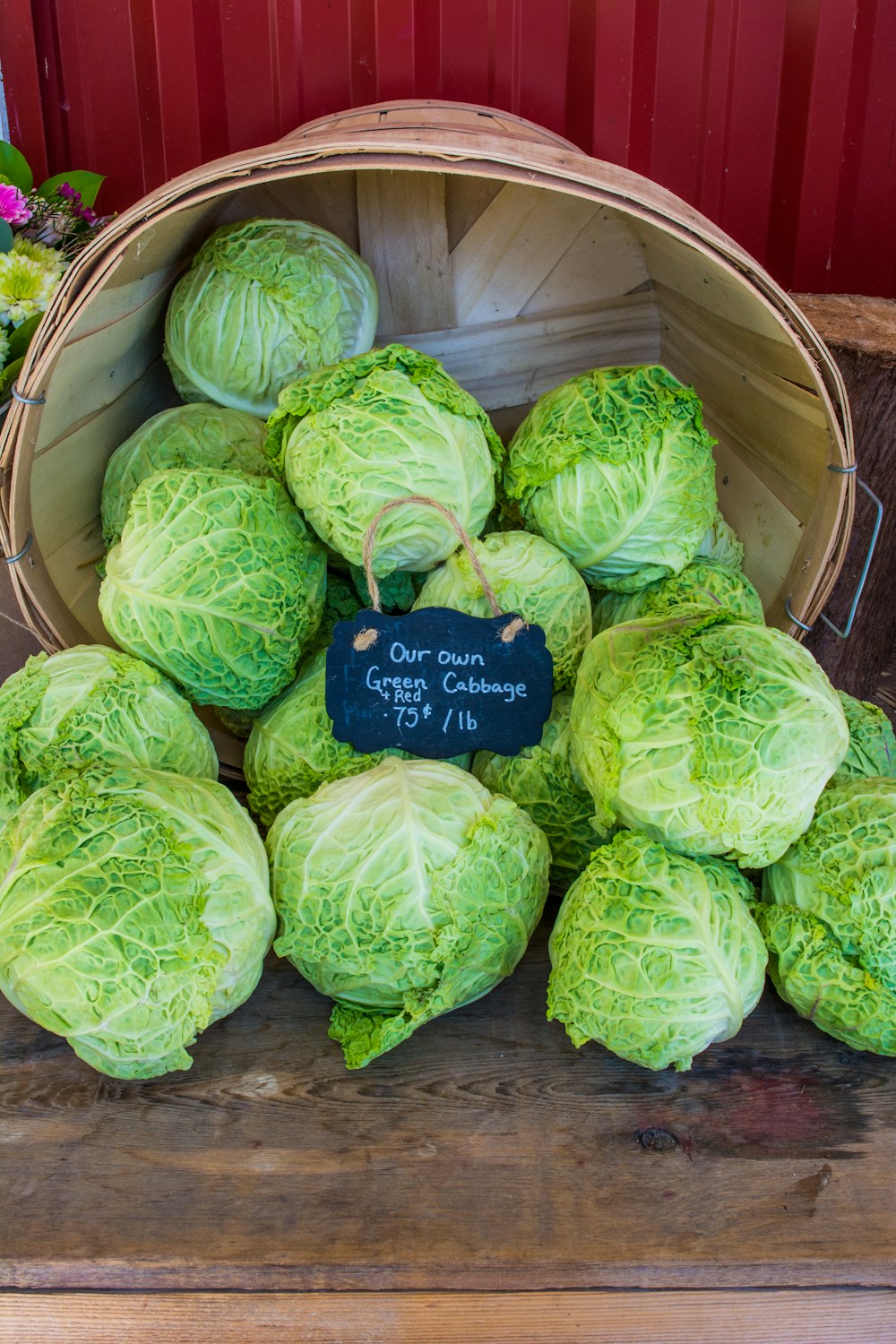 pile of green cabbages