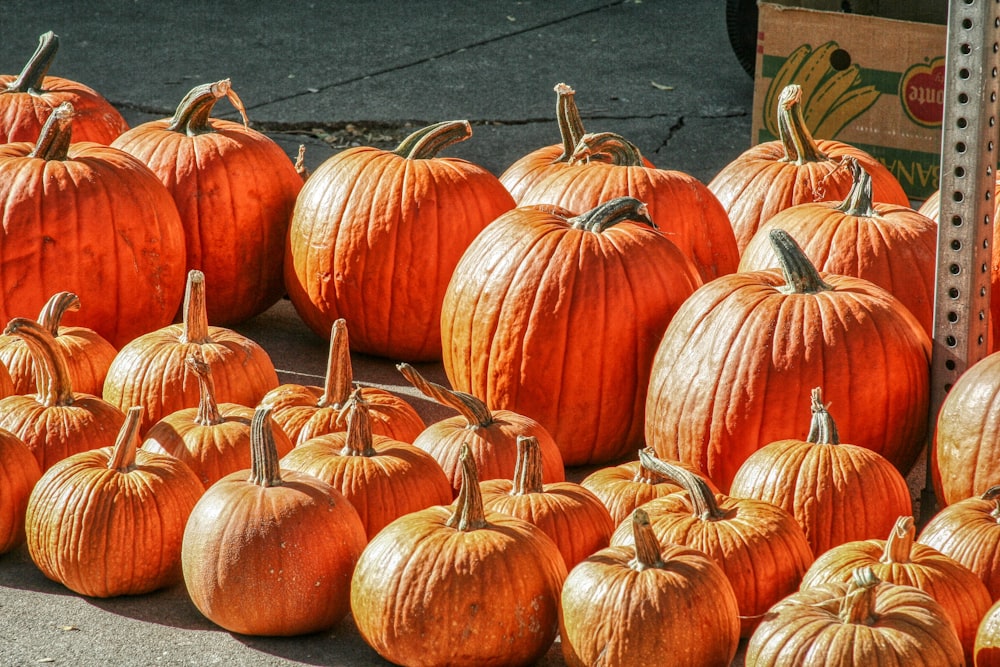 orangefarbene Kürbisse auf dem Boden