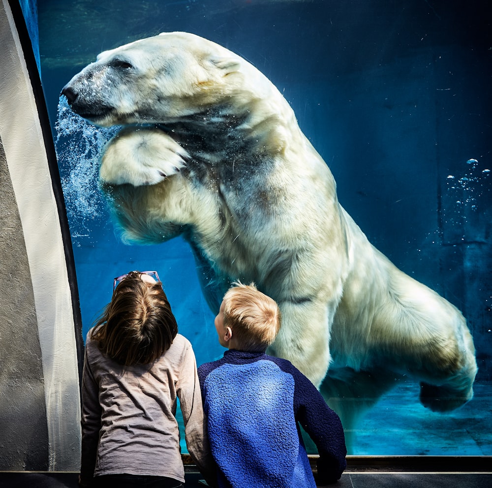 two boys watching on brown white polar bear