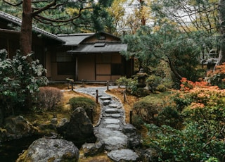 brown house surrounded of trees