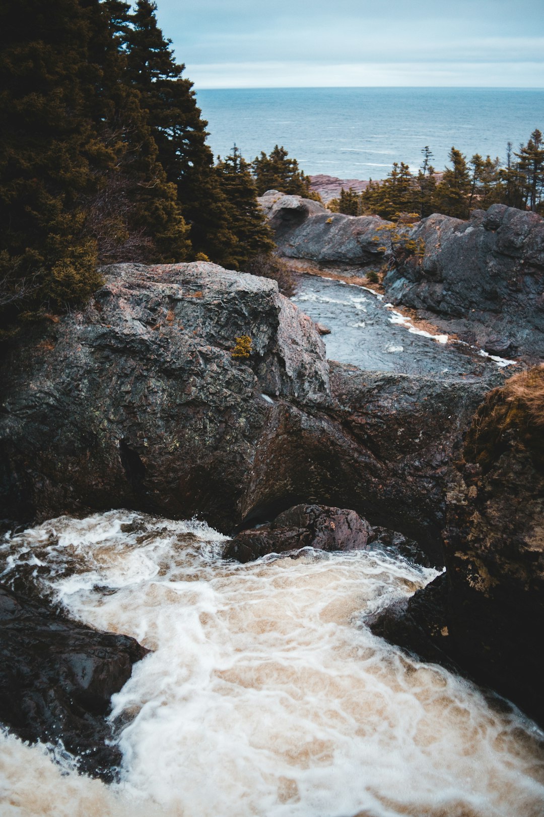 river beside green trees