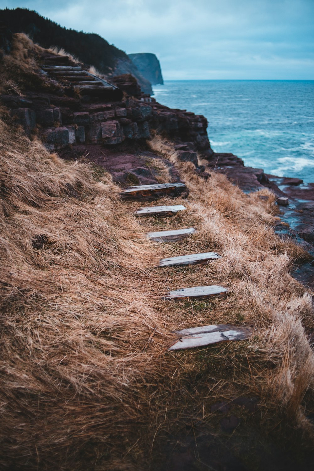 gray pathway near body of water