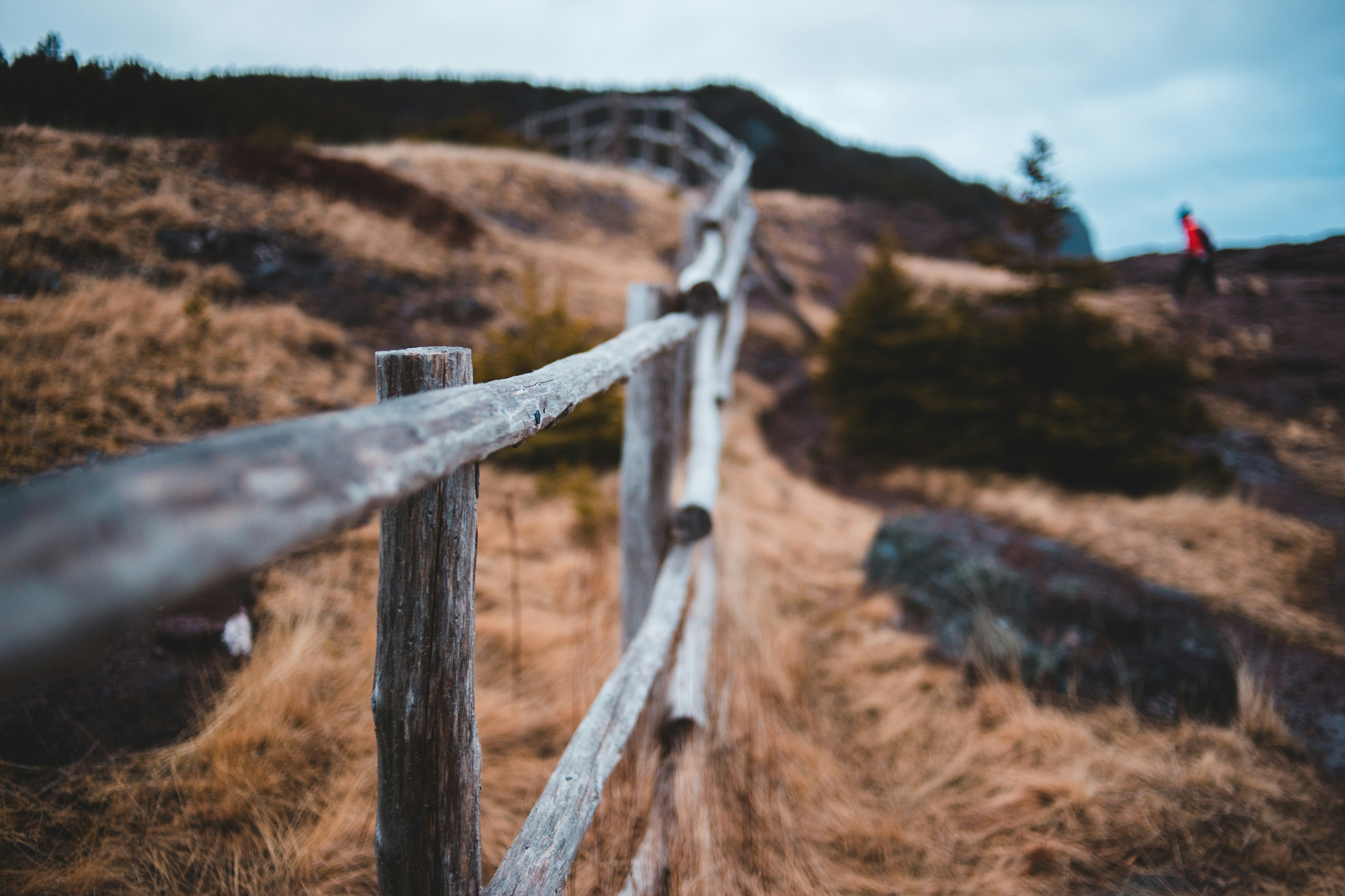 Photo by introspectivedsgn