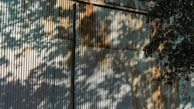 Corrugated metal siding with shadows of tree branches and leaves cast across it.