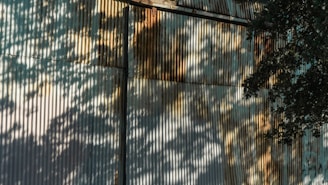 Corrugated metal siding with shadows of tree branches and leaves cast across it.