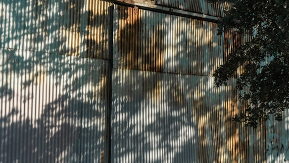 Corrugated metal siding with shadows of tree branches and leaves cast across it.