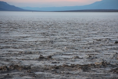 A striking digital map showing a vast flat realm with glowing grid lines stretching to the horizon.
