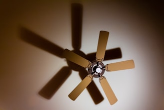 shadow of 5-blade ceiling fan on ceiling
