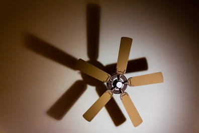 shadow of 5-blade ceiling fan on ceiling