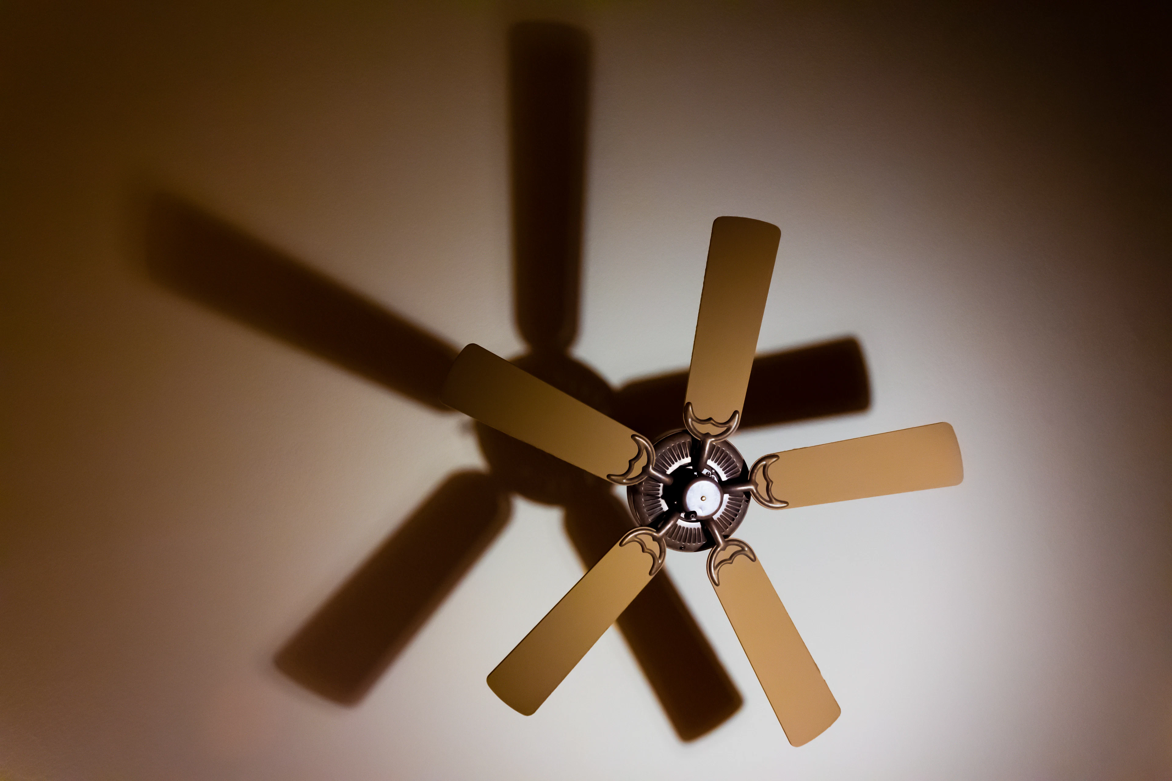 Ceiling fan shadow on a white ceiling
