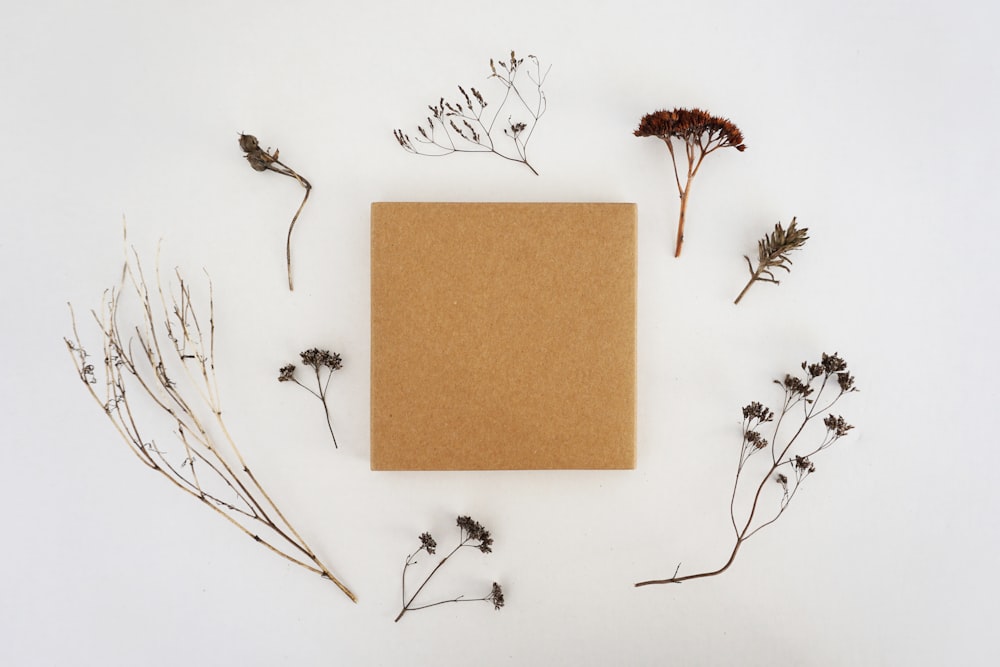 corkboard surrounded by flowers