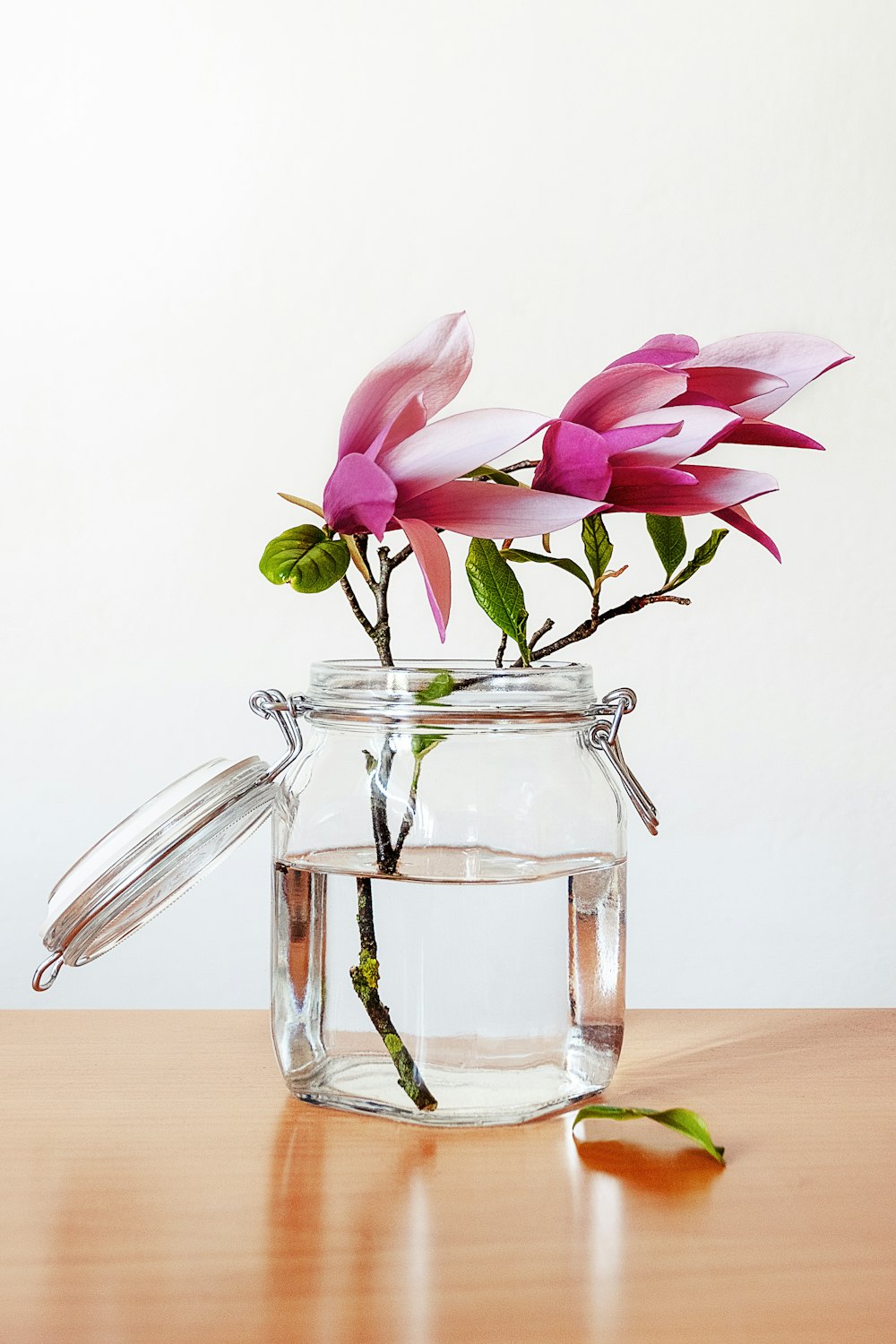 flores de pétalos rosados en frasco de vidrio transparente