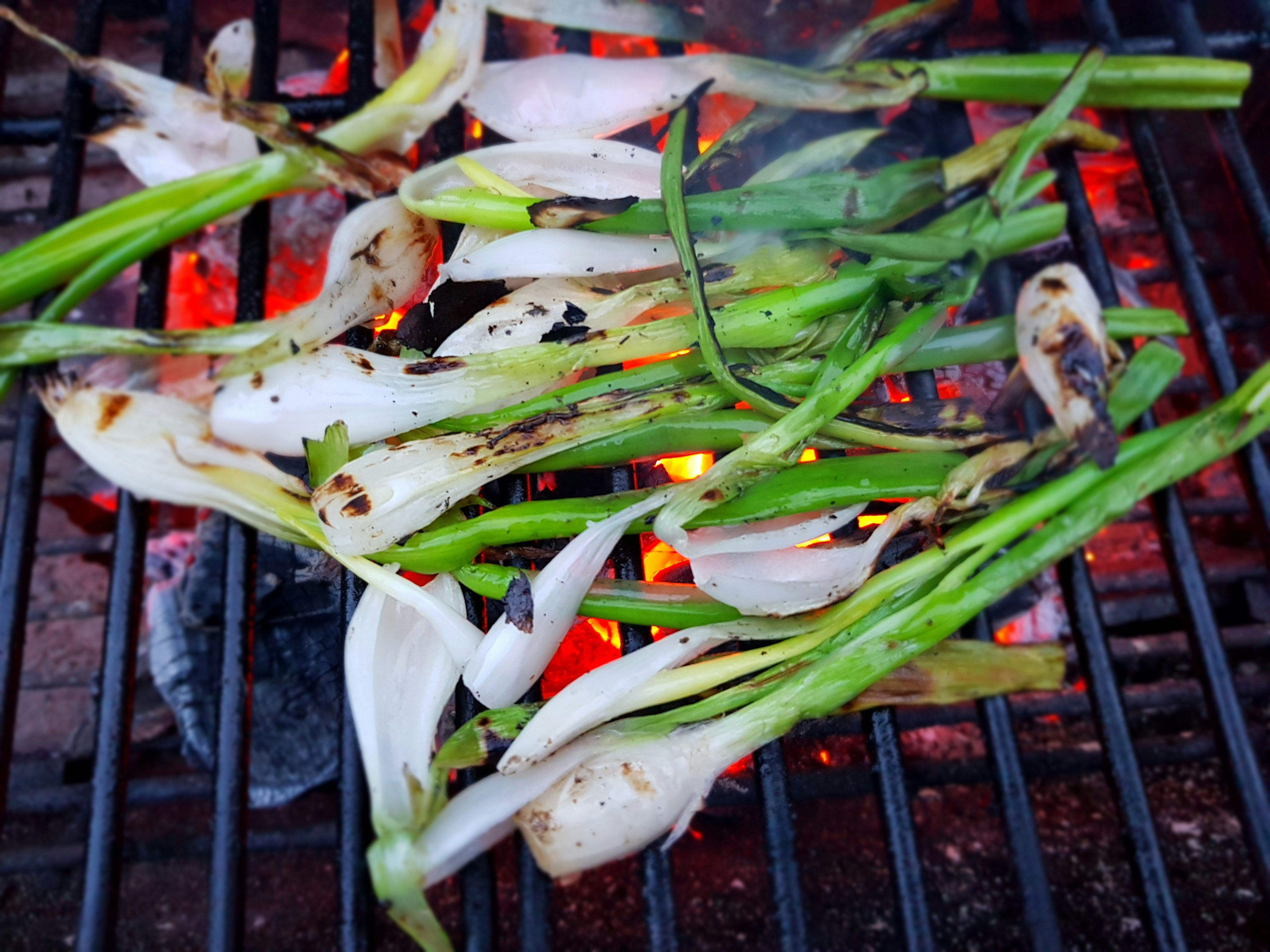 grilled onion chives