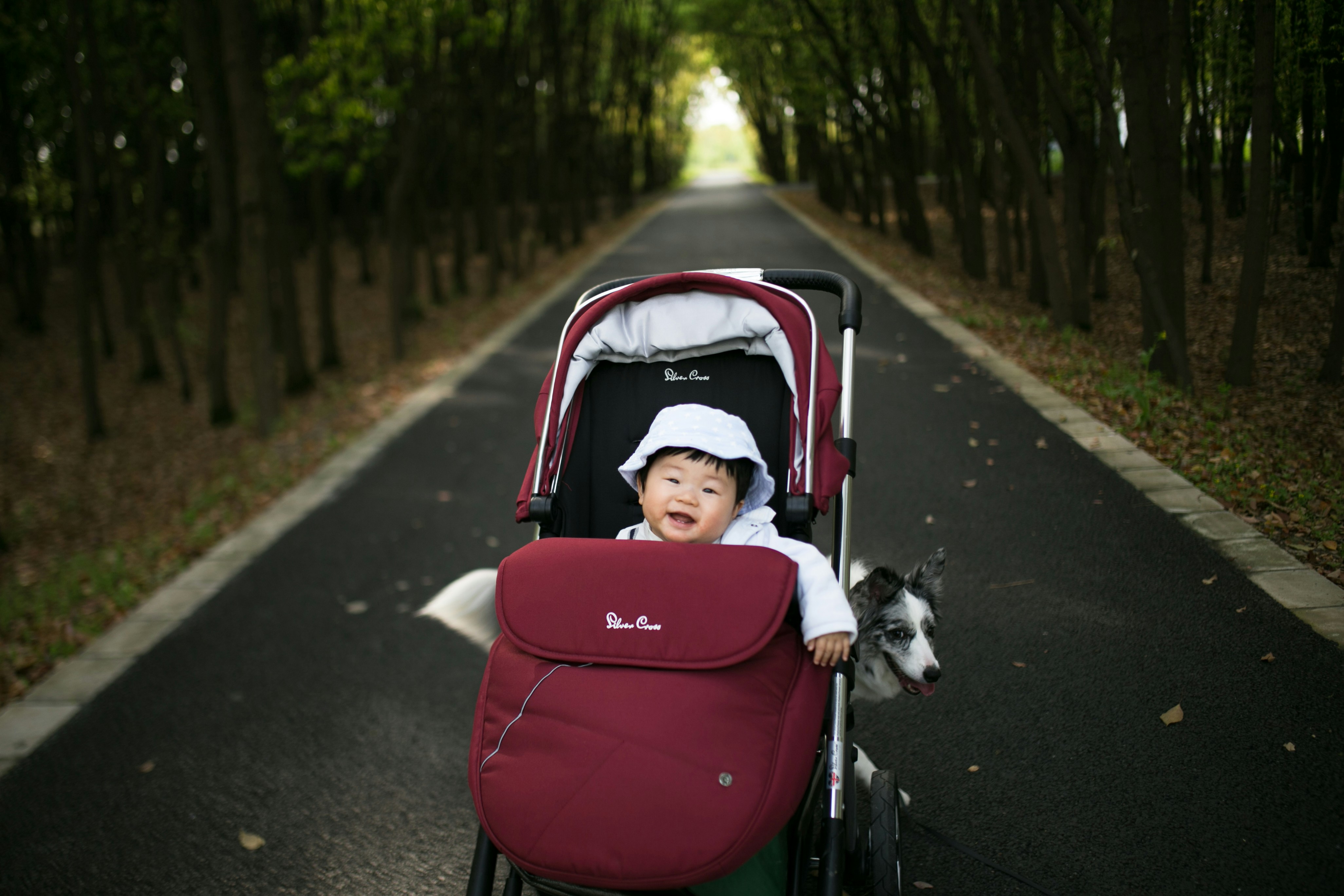 stroller untuk newborn