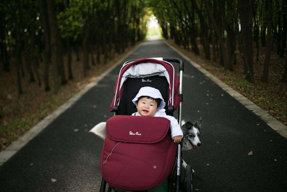 baby in stroller with dog at the back parked in the middle of road
