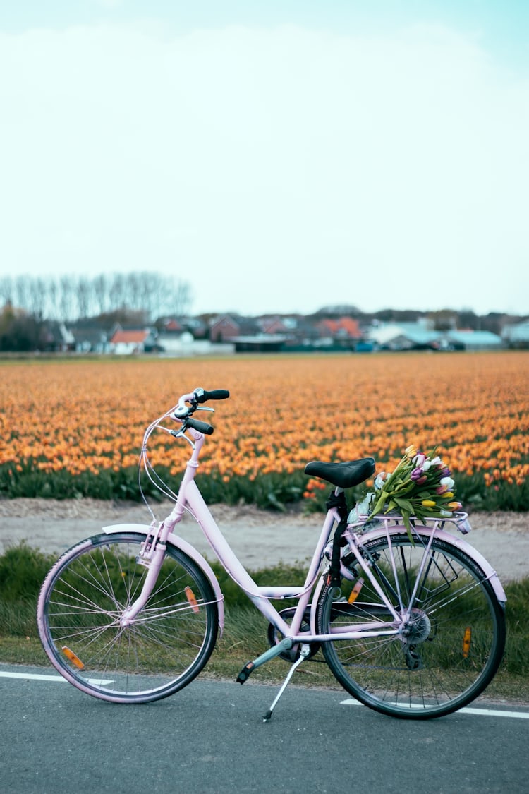 White bikes. Велосипед парк. Белый велосипед. Велосипед в парке. Лето велосипед.