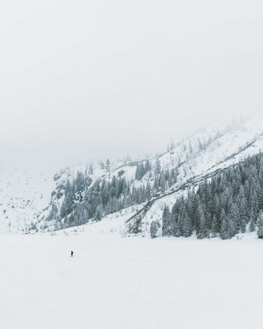 person walking on snowfield near mountain cliff