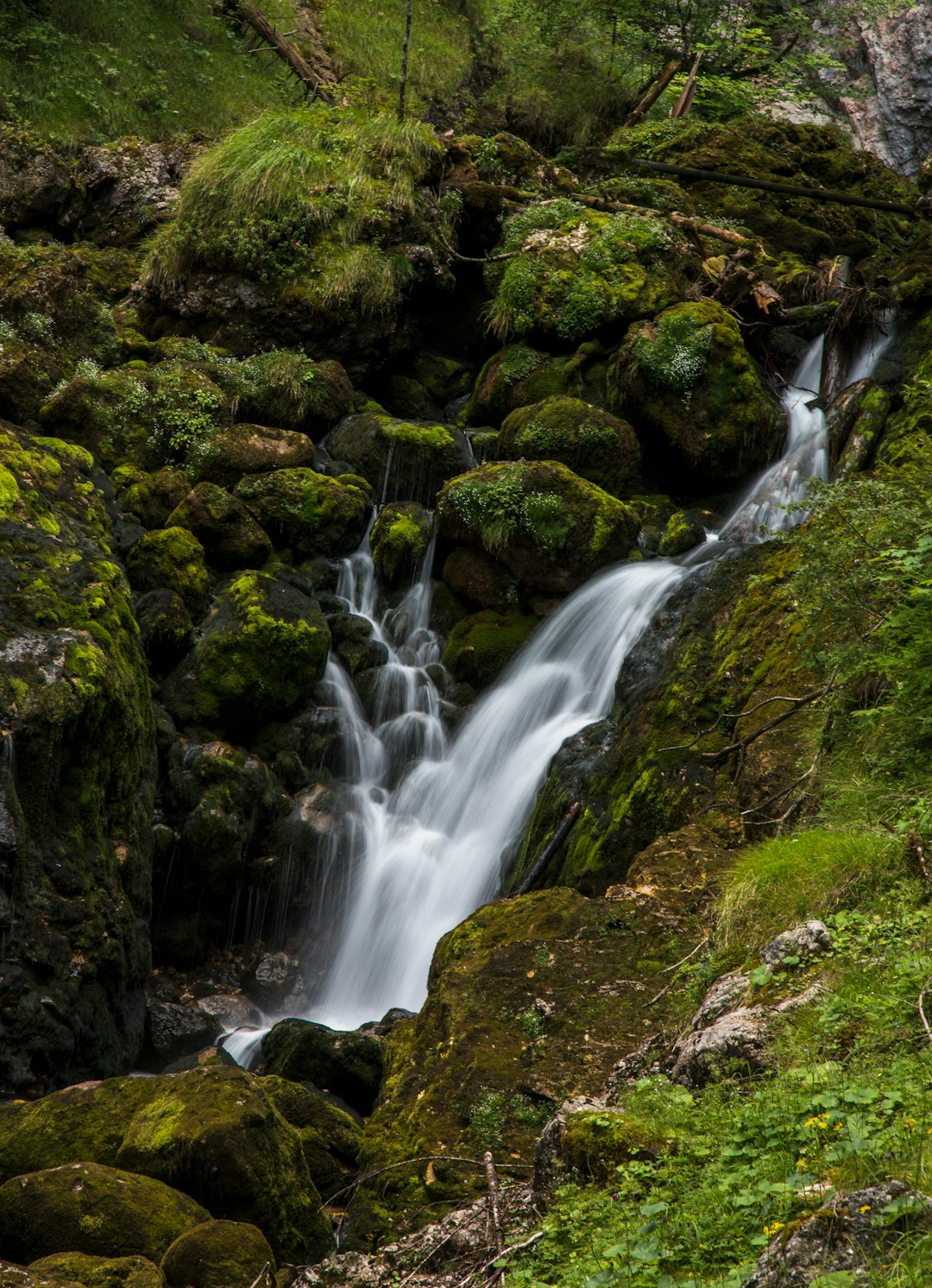 waterfall in between green grass