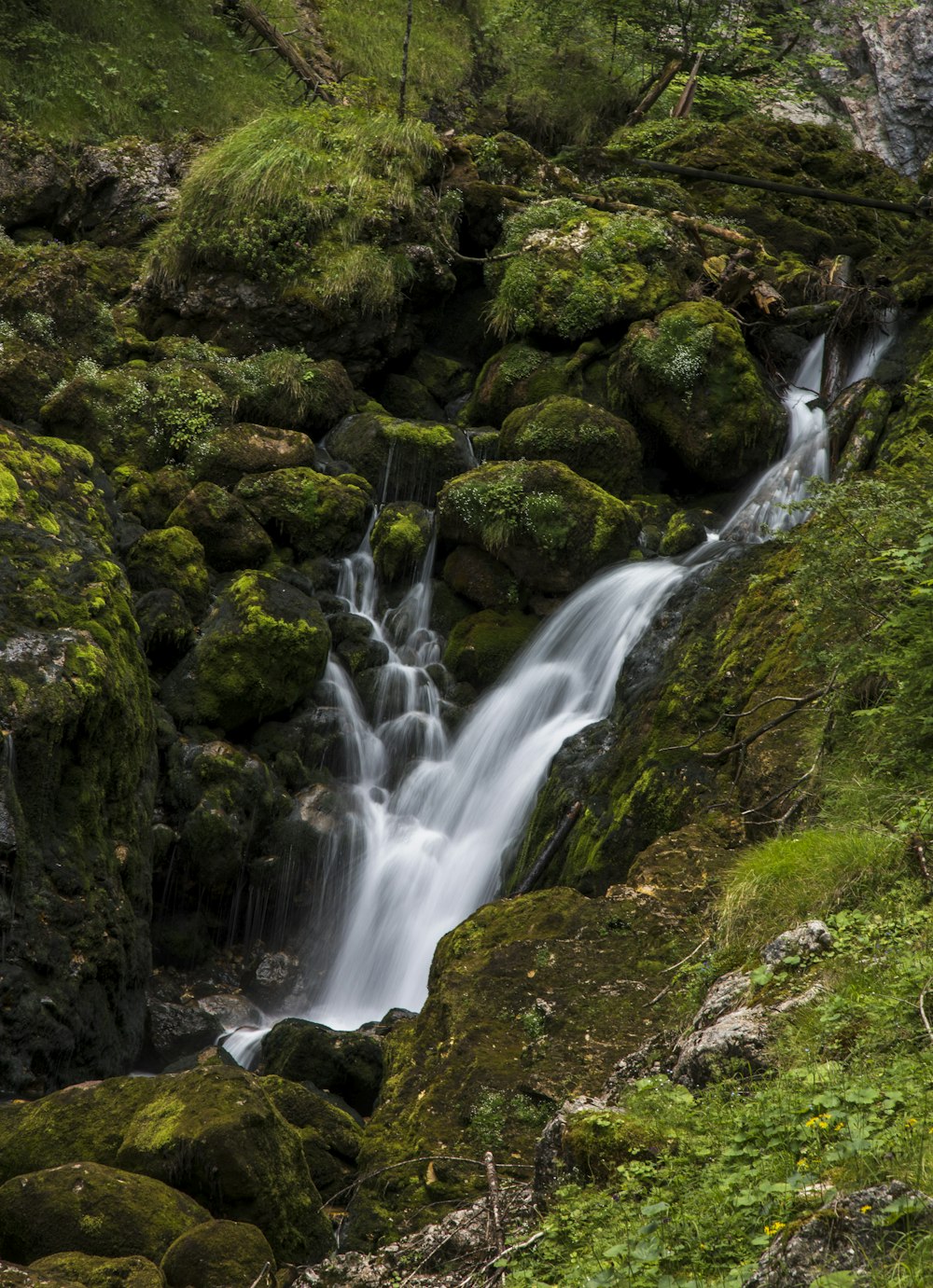 waterfall in between green grass