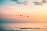 hypnotherapy stress anxiety feelings