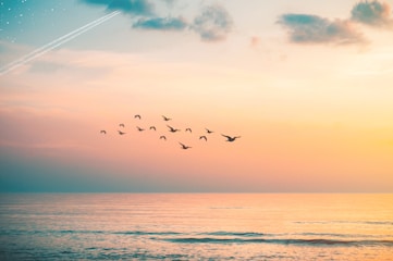 hypnotherapy stress anxiety feelings