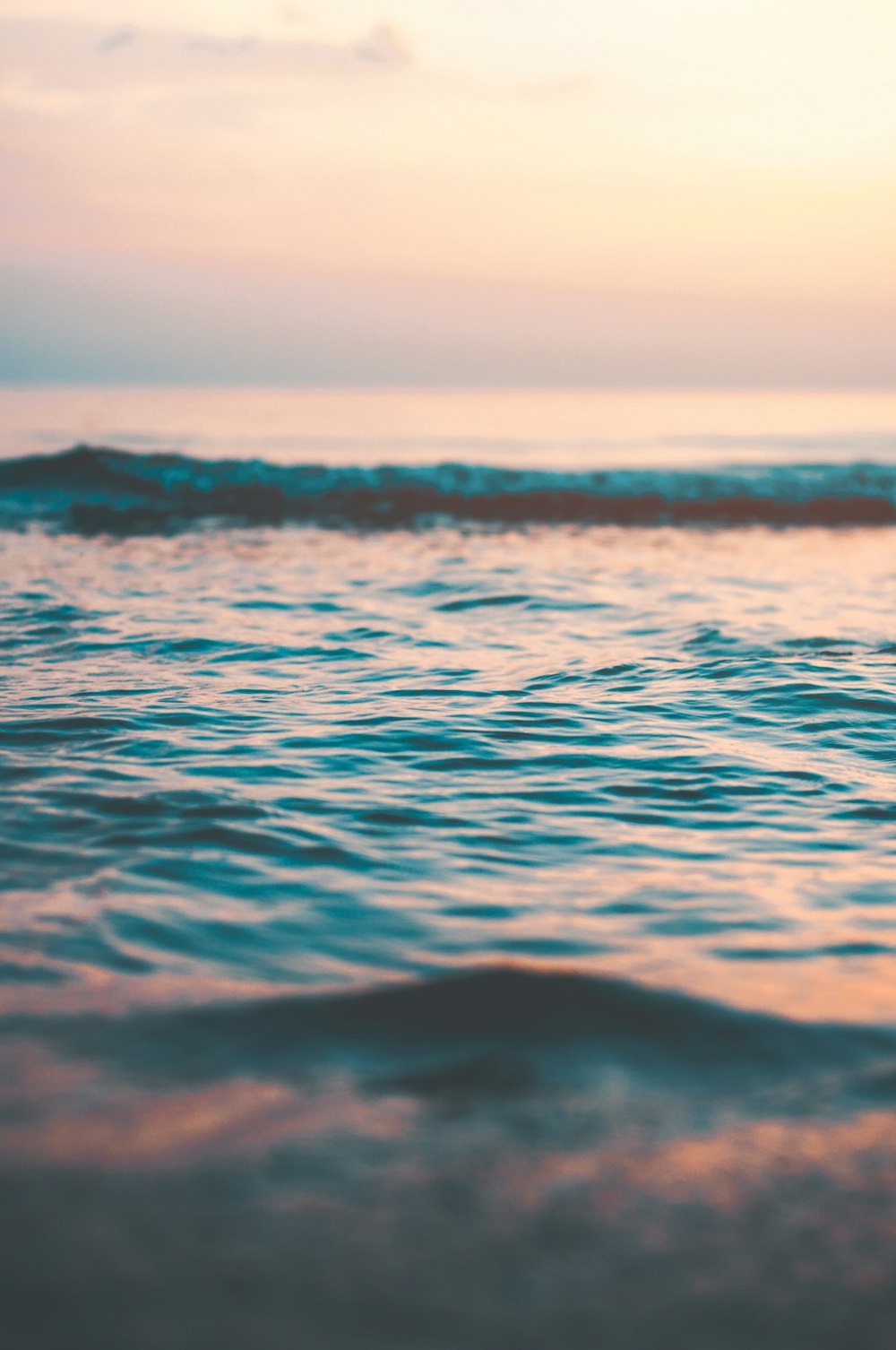 selective focus photography of body of water