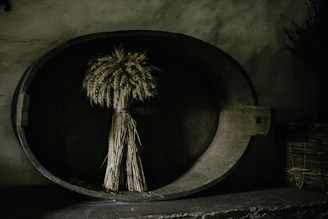Bundles of wheat grains neatly stacked in a sunlit storage barn.
