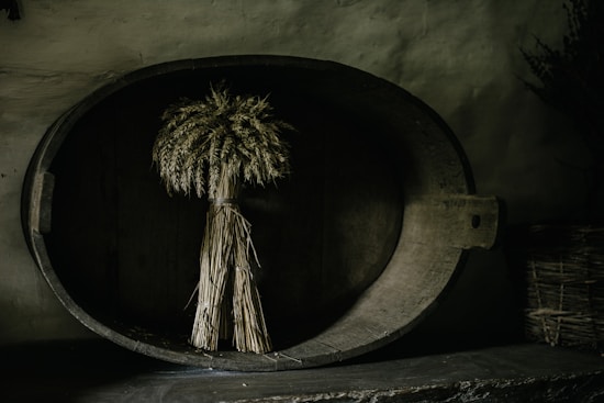 A bundle of dried wheat stems is placed inside an old, large wooden barrel lying on its side. The setting appears rustic, with a dimly lit and somewhat aged-looking environment, featuring dark shadows and muted tones. The wheat stems are neatly tied together and stand upright.
