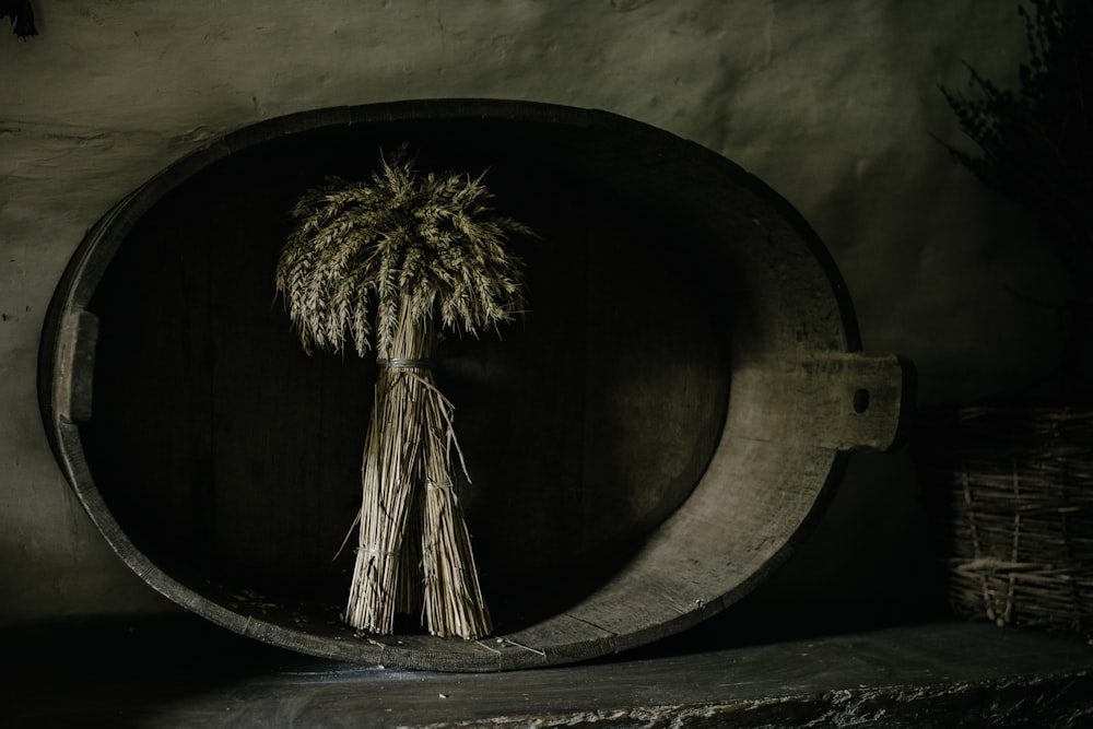 a palm tree in a wooden barrel on a shelf