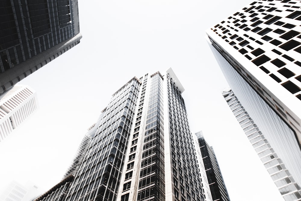 low angle photography of highrise buildings