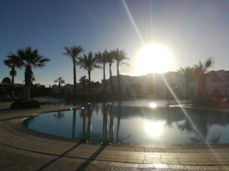 A professional technician cleaning a sparkling pool under Miami’s bright sun with palm trees in the background.