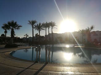 A technician inspecting a sparkling swimming pool pump under bright Abu Dhabi sunlight.