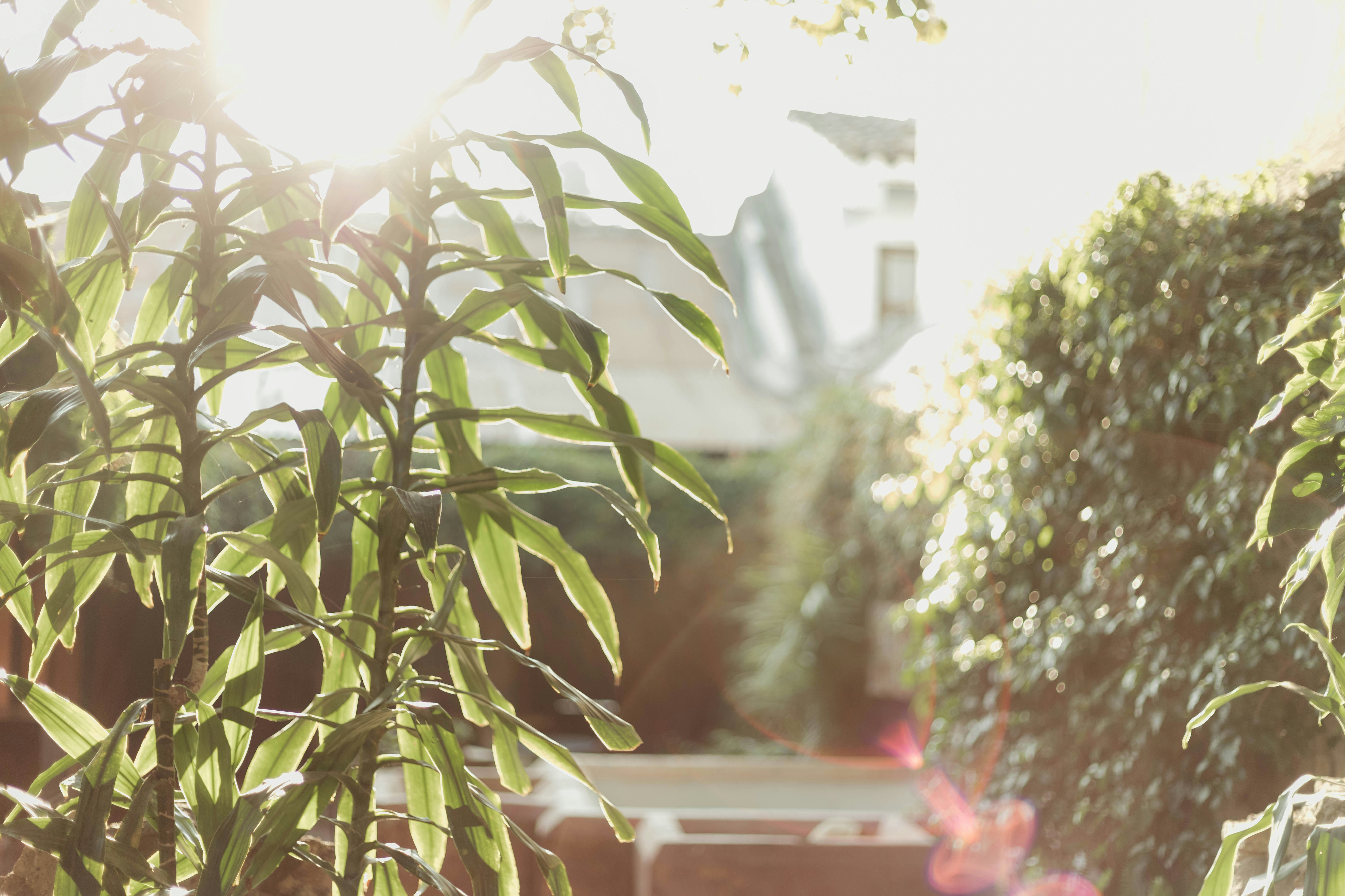 Photo by taylorcogdell