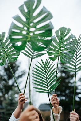 Close-up of hands holding recycled paper products with green leaves in the background.