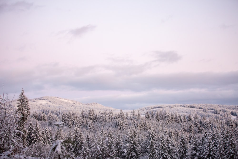 uma paisagem nevada com árvores e montanhas ao fundo