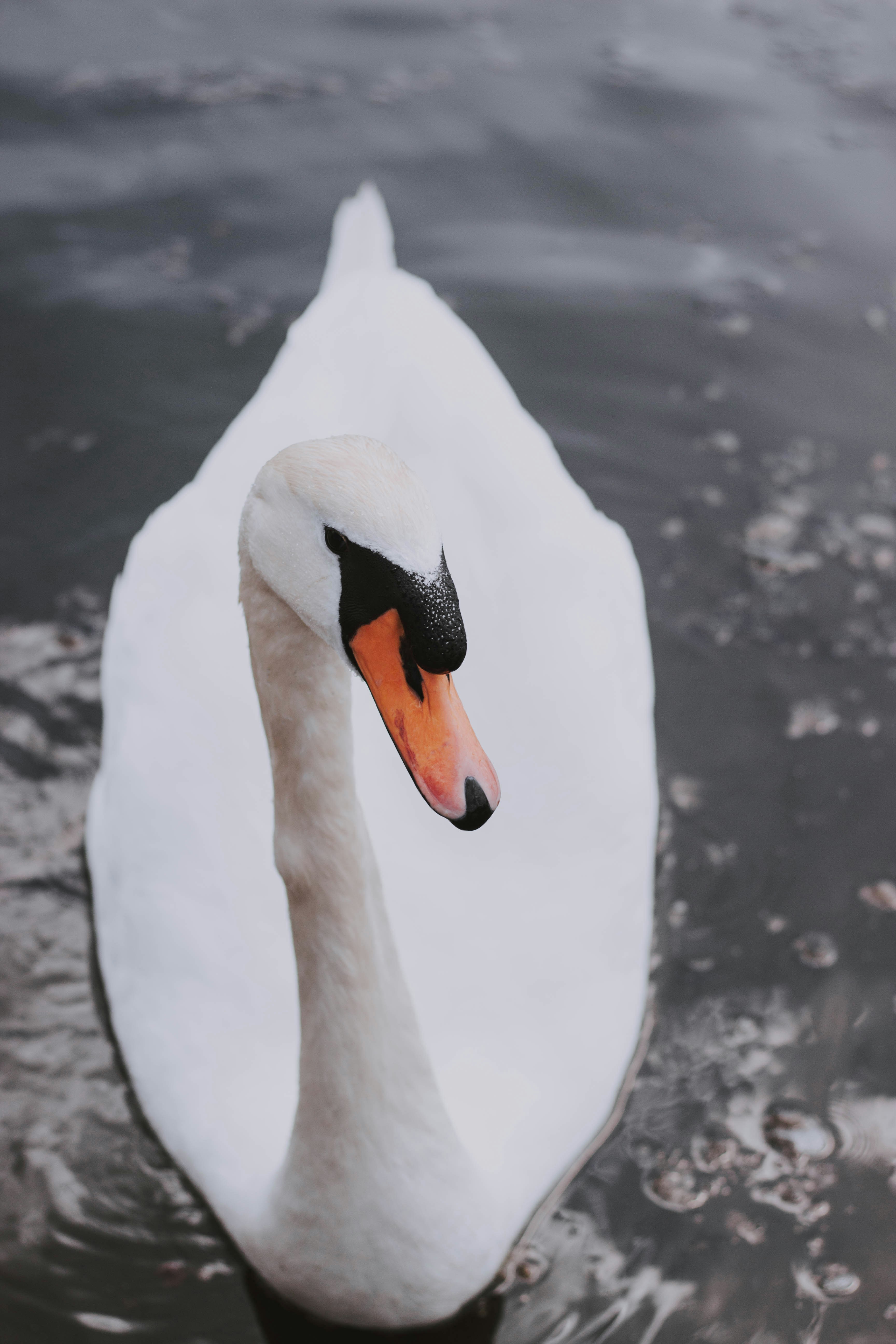 Photo by matreding