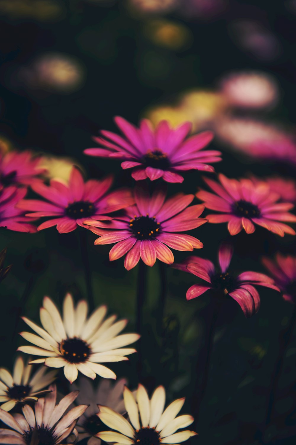 a bunch of flowers that are in a vase