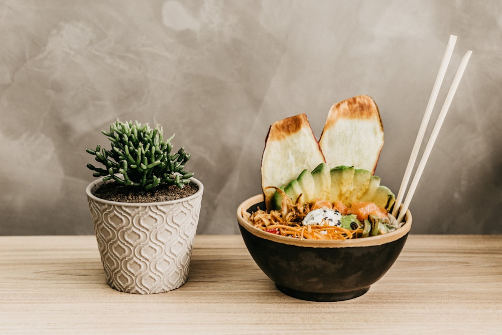 green succulent plant in pot near bowl of food