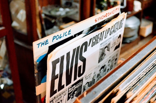 A collection of vintage vinyl records is displayed in an organized manner. The visible albums include one by Elvis and another by The Police, titled 'Synchronicity.' These records are stacked vertically in a wooden rack, and the setting appears to be a cozy, retro room with warm lighting.