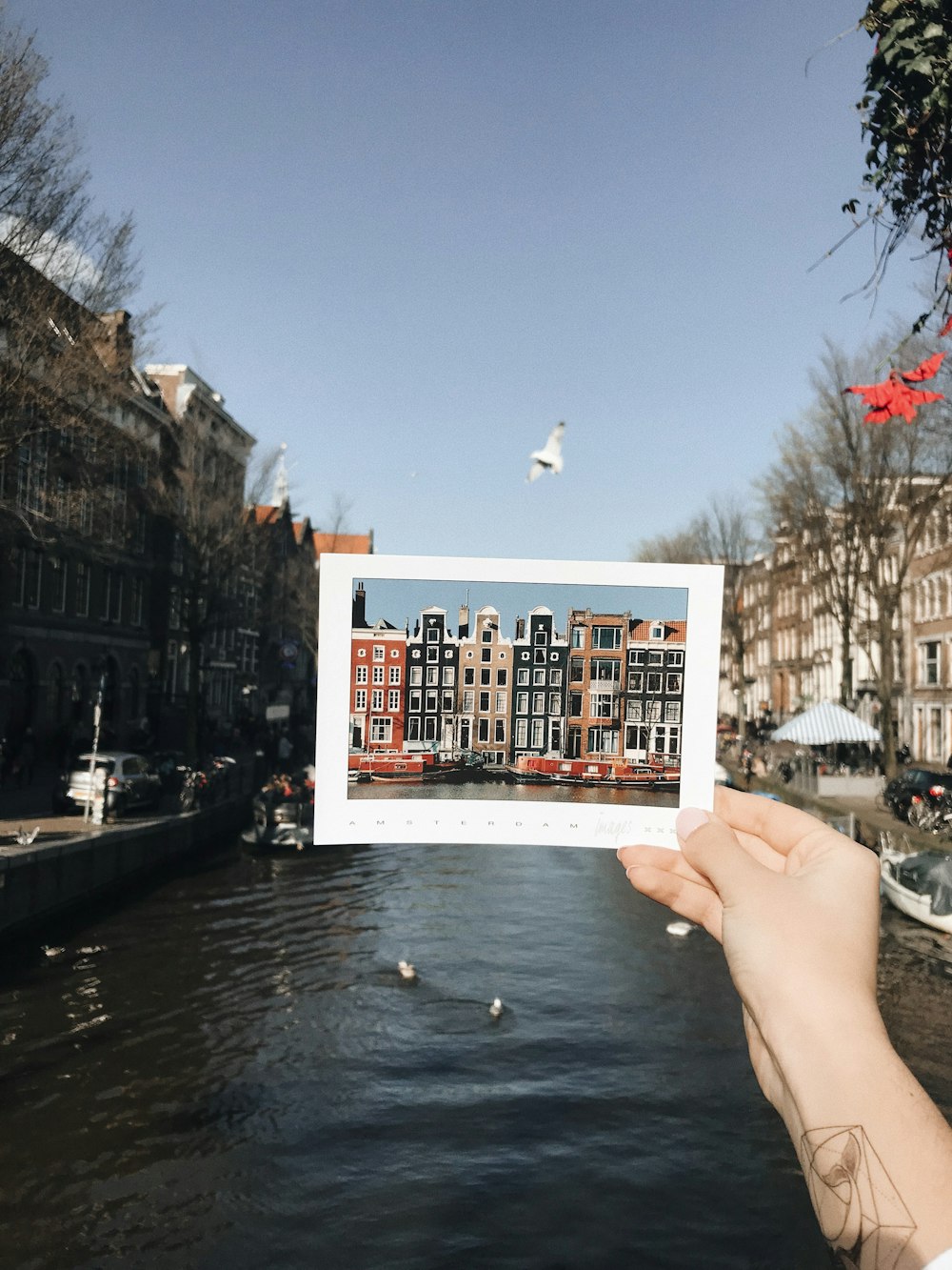person holding buildings photo