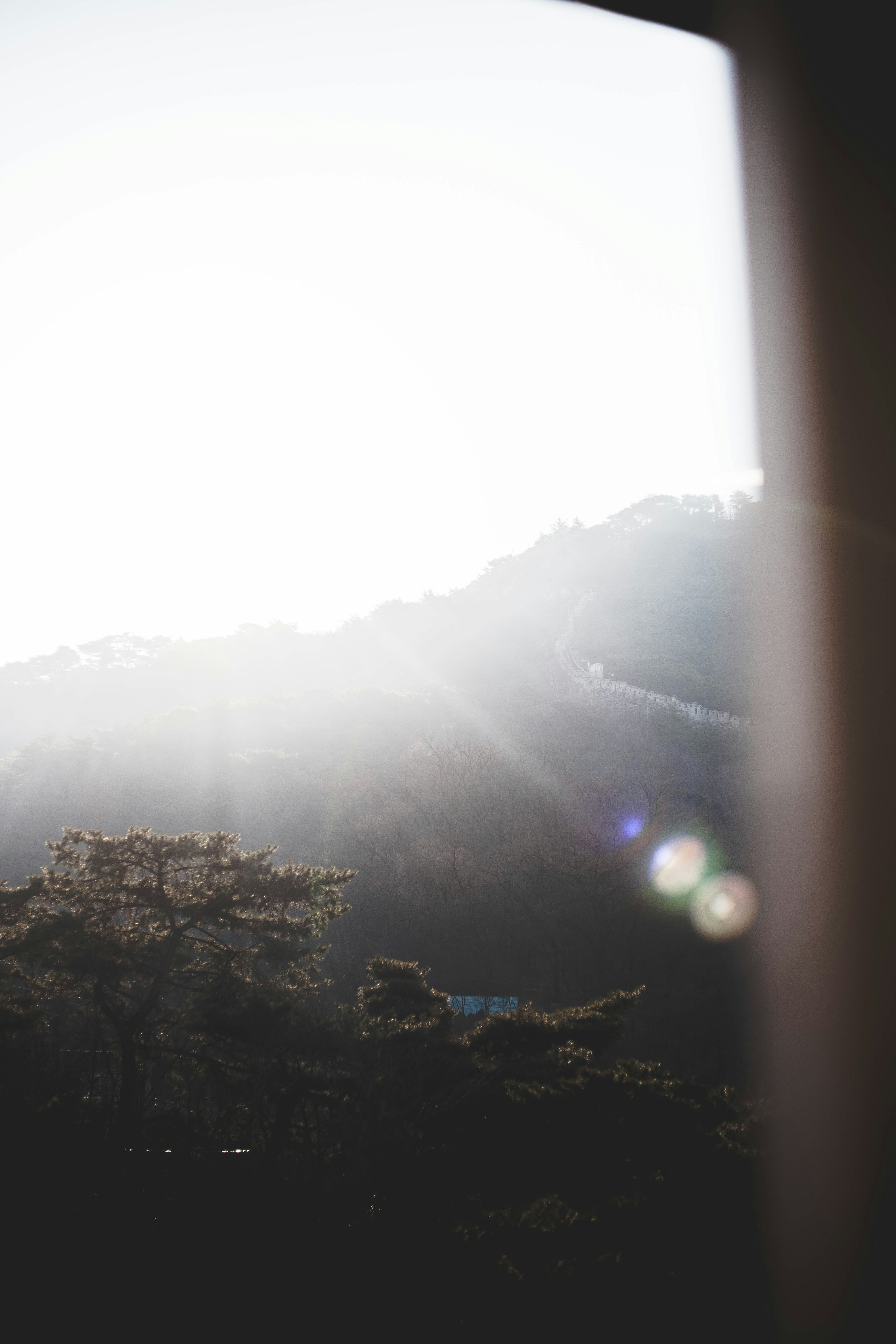 Photo by charlespostiaux