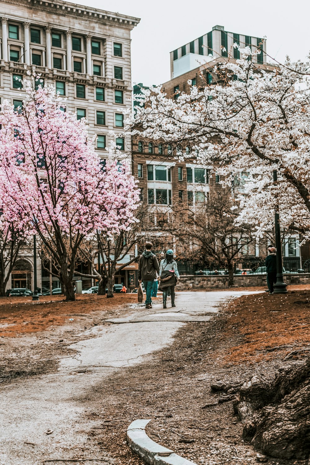 two persons walking between trees