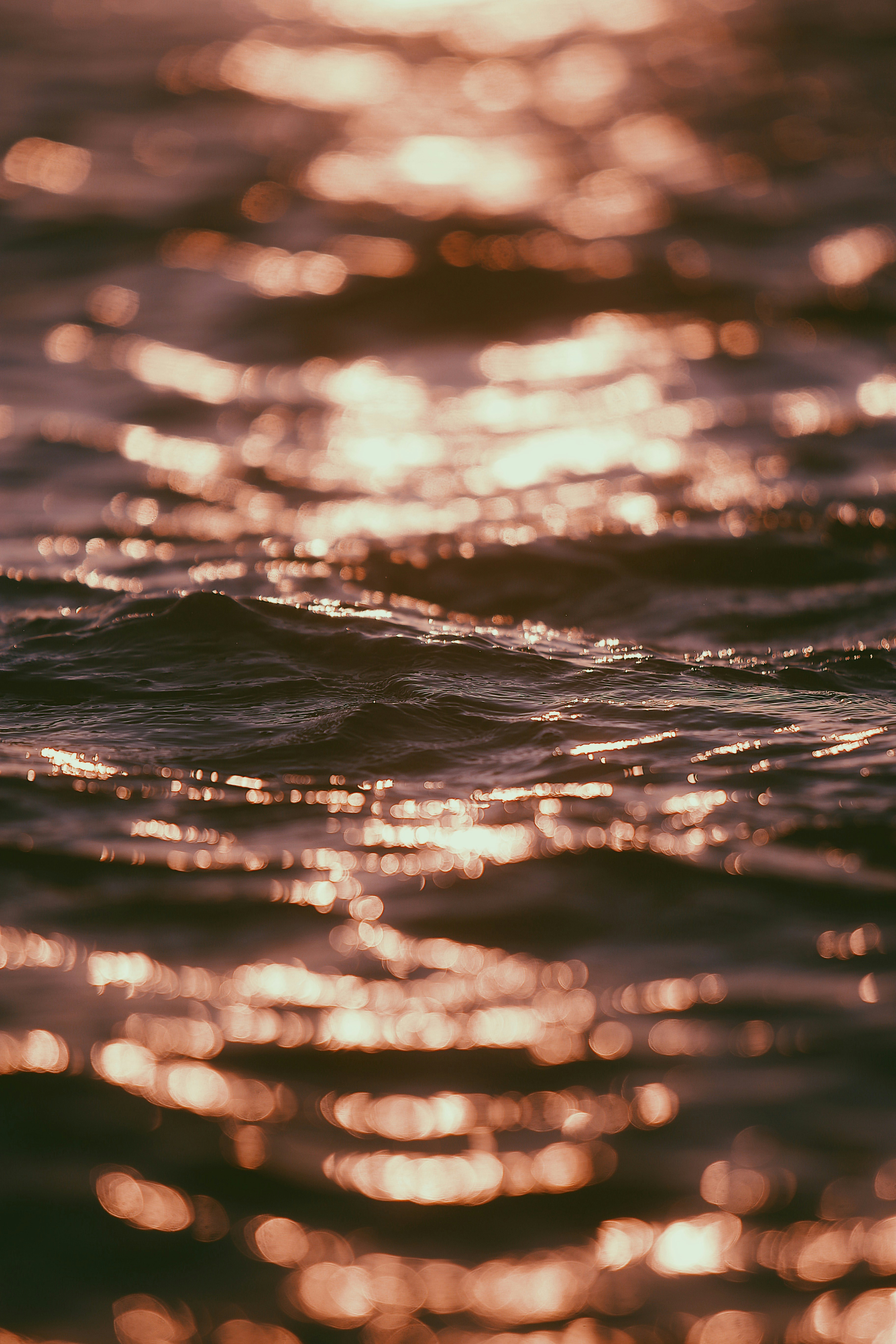 Photo by anmadezzzzz