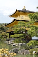 yellow building near body of water and trees