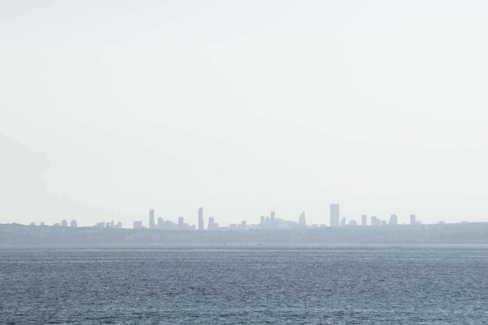 aerial photo of sea near city