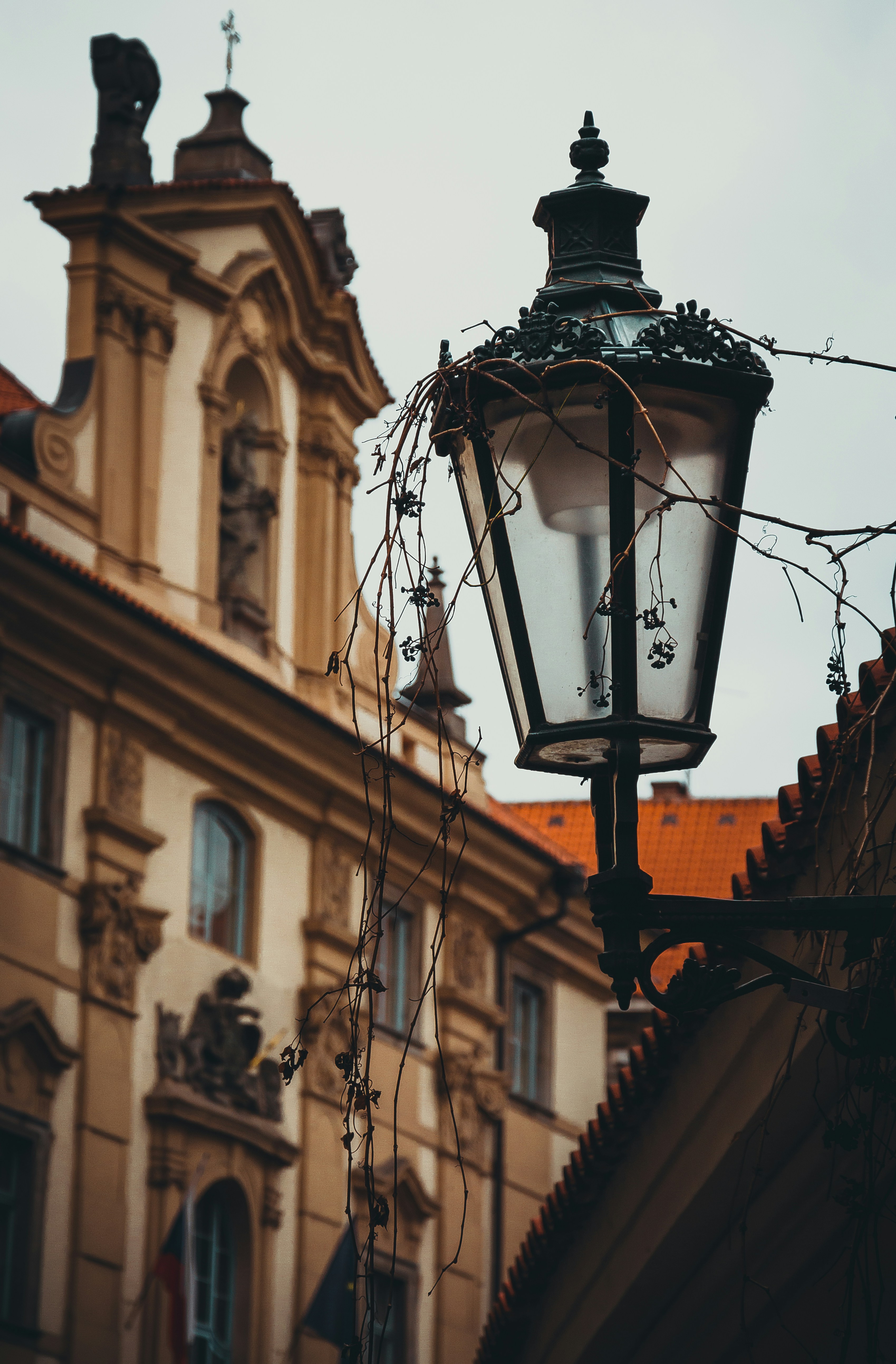 Photo by mrstupachenko